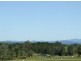 Pola Creek NSW 2440