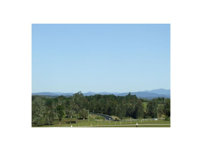 Pola Creek NSW 2440