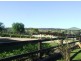 Pola Creek NSW 2440