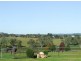 Pola Creek NSW 2440
