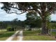 Pola Creek NSW 2440