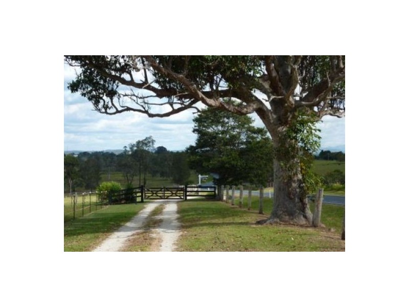 Pola Creek NSW 2440