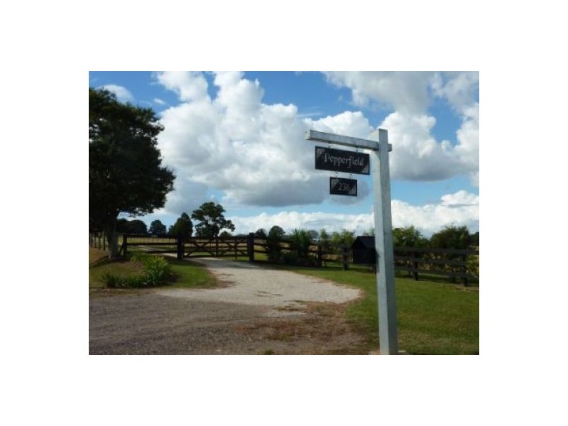 Pola Creek NSW 2440