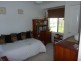 Pola Creek NSW 2440