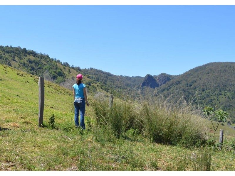 1959 Toms Creek Road, Toms Creek NSW 2446