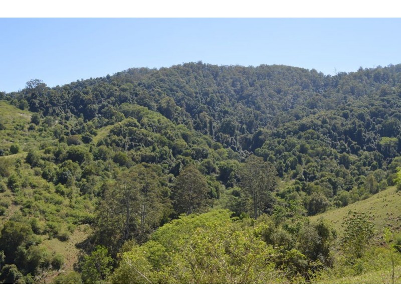 1959 Toms Creek Road, Toms Creek NSW 2446