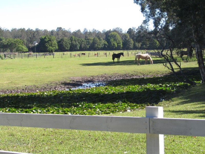 Fernbank Creek NSW 2444