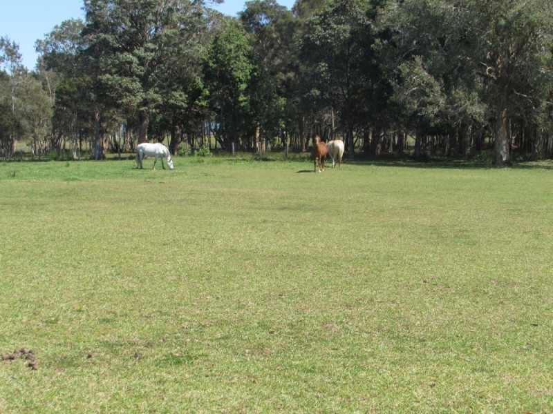 Fernbank Creek NSW 2444