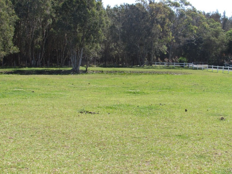 Fernbank Creek NSW 2444