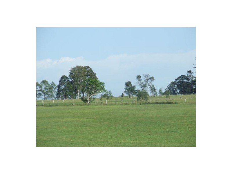 Aldavilla NSW 2440