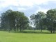 Aldavilla NSW 2440