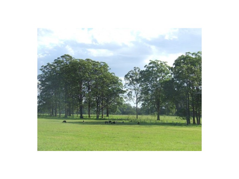 Aldavilla NSW 2440