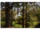 Aldavilla NSW 2440
