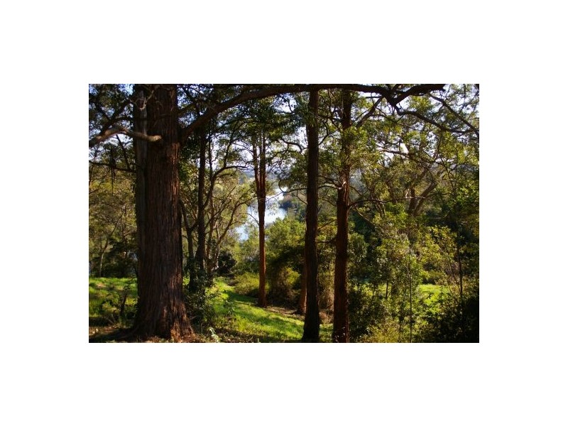 Aldavilla NSW 2440