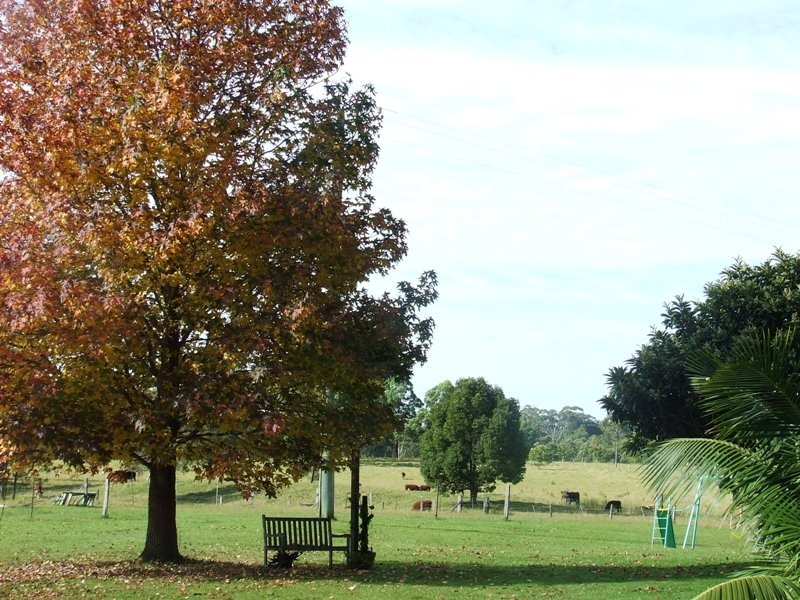 Crescent Head NSW 2440