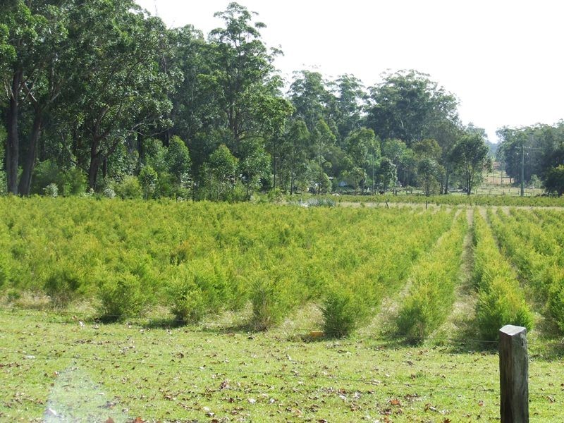 Crescent Head NSW 2440