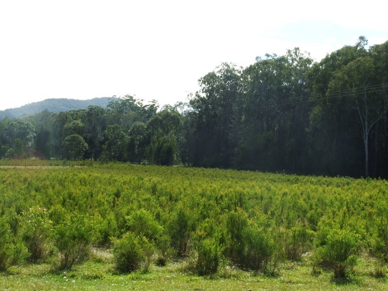 Crescent Head NSW 2440