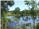 Stewarts River NSW 2443