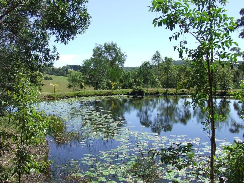 Stewarts River NSW 2443