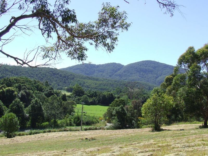 Stewarts River NSW 2443