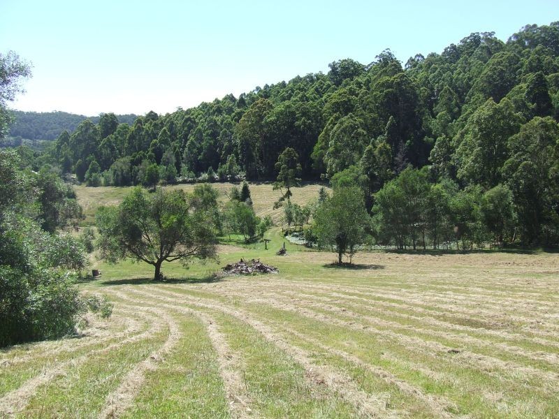 Stewarts River NSW 2443