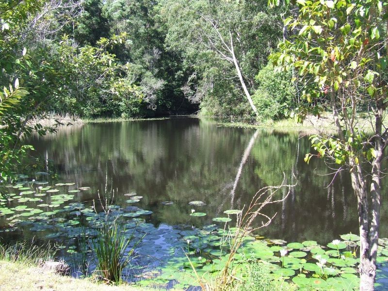 Stewarts River NSW 2443