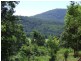 Stewarts River NSW 2443