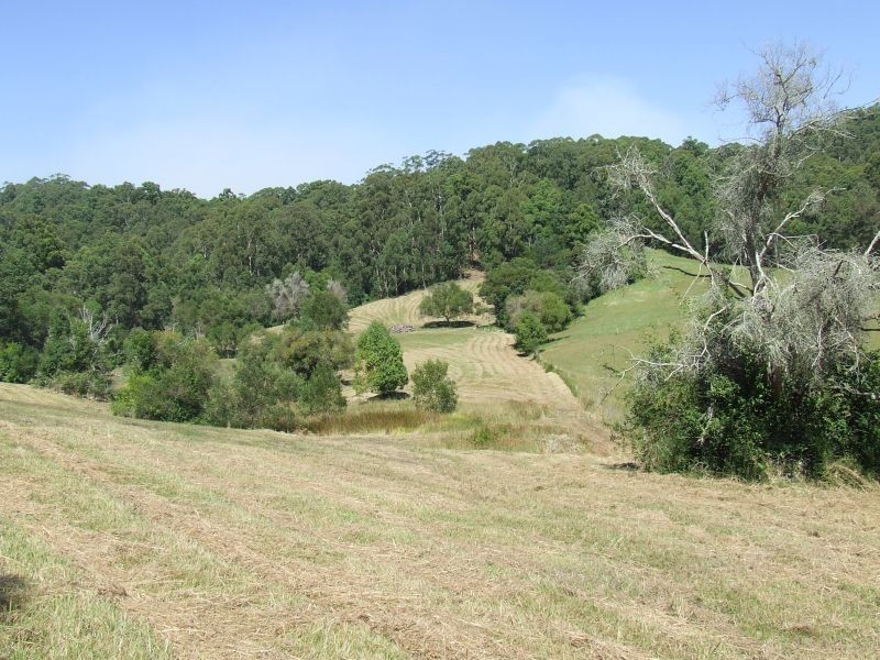 Stewarts River NSW 2443
