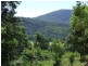 Stewarts River NSW 2443