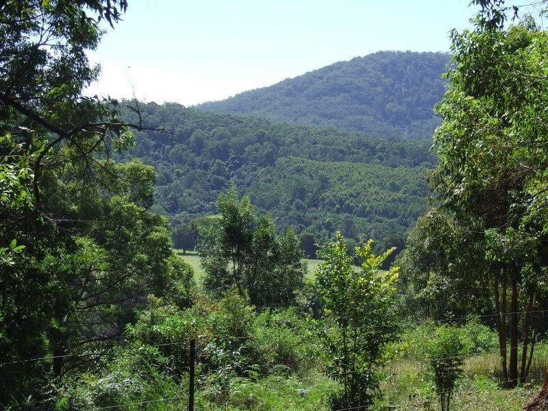 Stewarts River NSW 2443