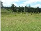 Wauchope NSW 2446