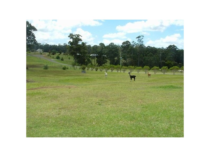 Wauchope NSW 2446