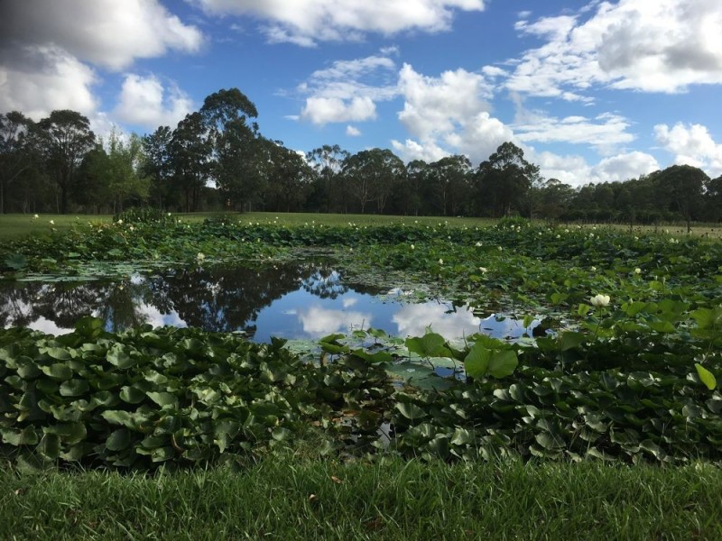 Rawdon Island NSW 2446