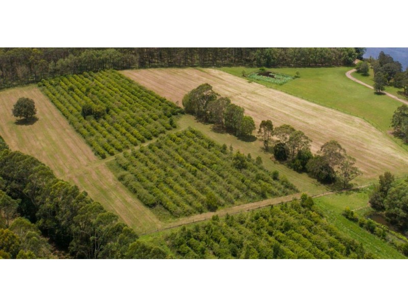 Rawdon Island NSW 2446