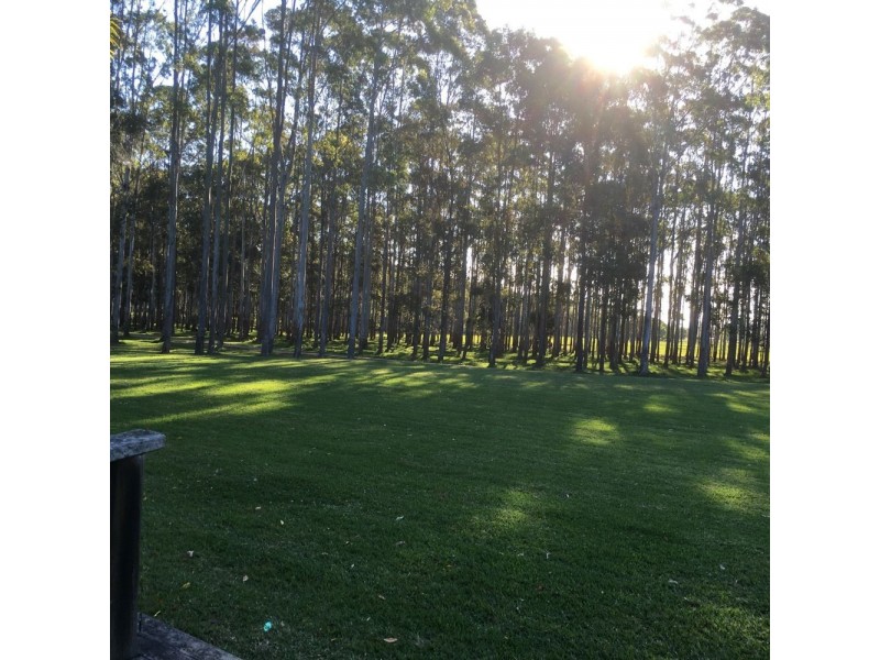 Rawdon Island NSW 2446