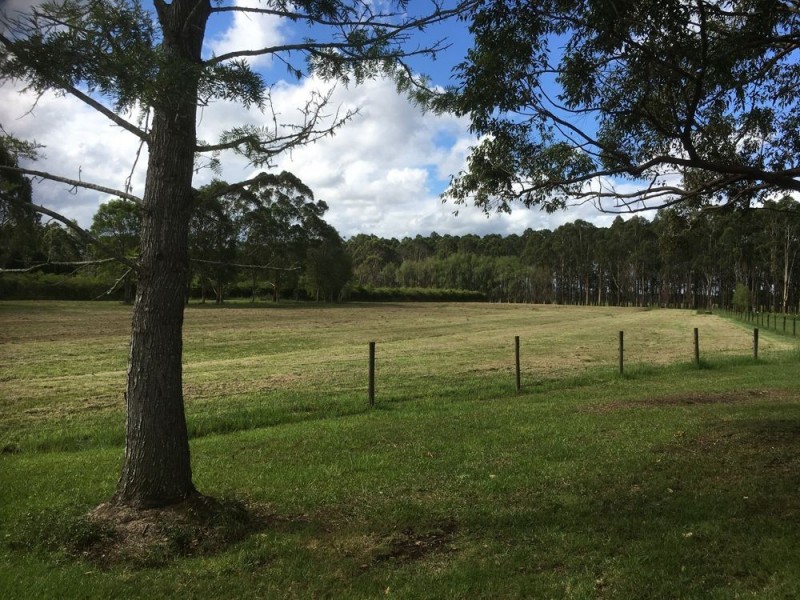 Rawdon Island NSW 2446