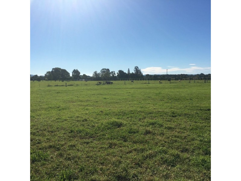 Rawdon Island NSW 2446