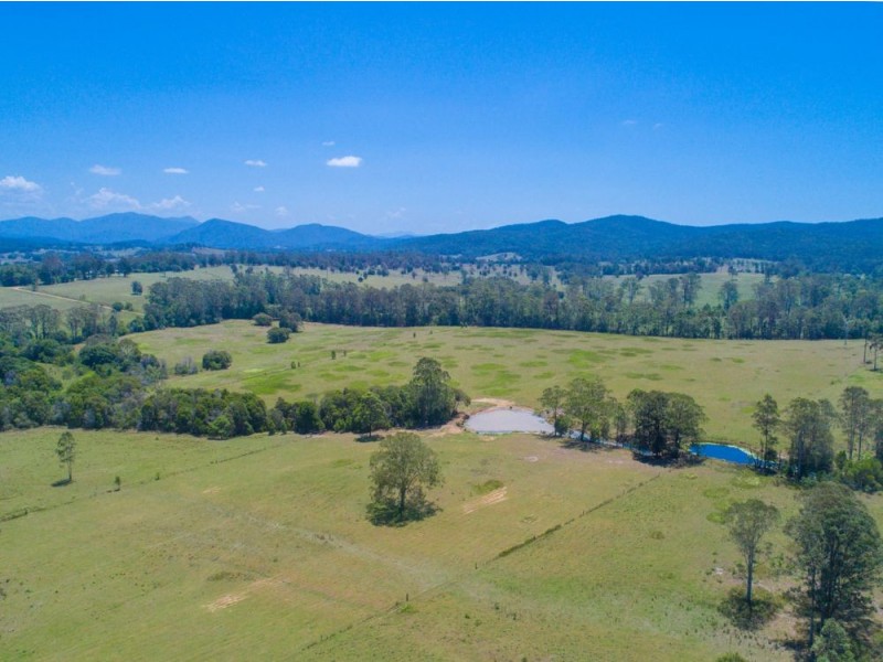 813 Ballengarra Bransdon Road, Ballengarra NSW 2441