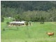 13 Left Arm Road, Pappinbarra NSW 2446