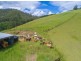 13 Left Arm Road, Pappinbarra NSW 2446