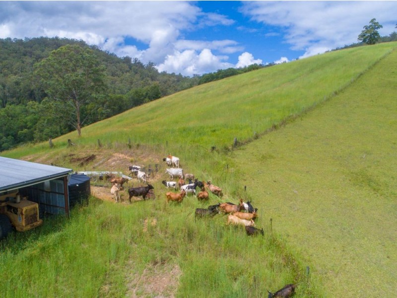 13 Left Arm Road, Pappinbarra NSW 2446