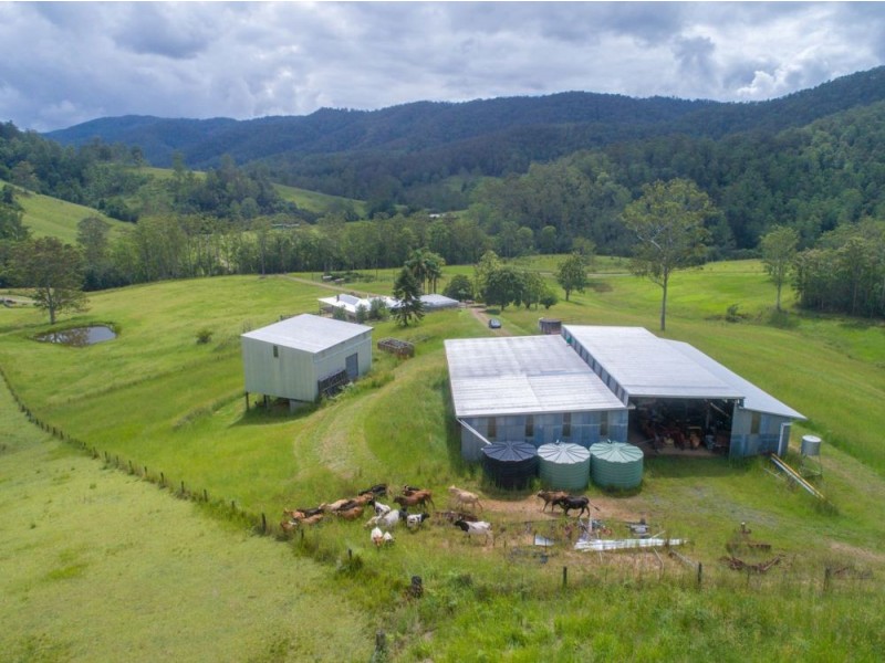 13 Left Arm Road, Pappinbarra NSW 2446