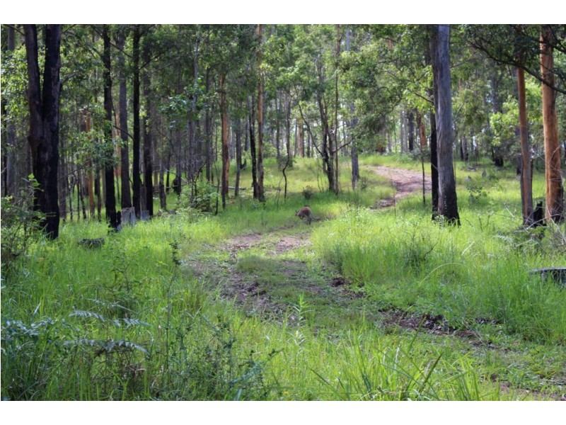 428 Kindee Road, Kindee NSW 2446
