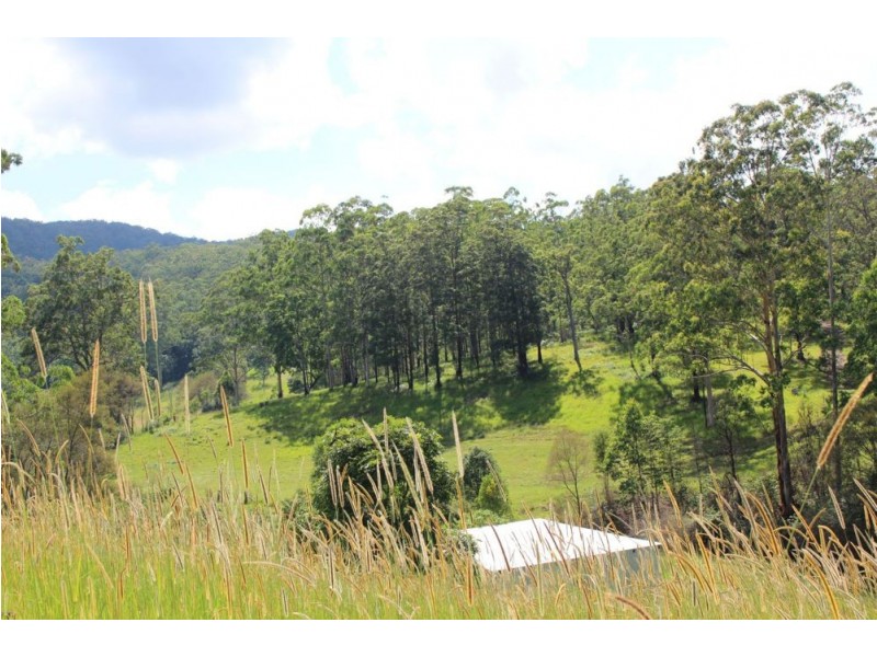 428 Kindee Road, Kindee NSW 2446