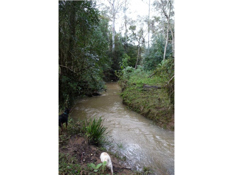 310-314 Billybyang Road, Millbank NSW 2440