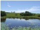 231 Upper Rollands Plains Road, Rollands Plains NSW 2441