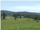 231 Upper Rollands Plains Road, Rollands Plains NSW 2441