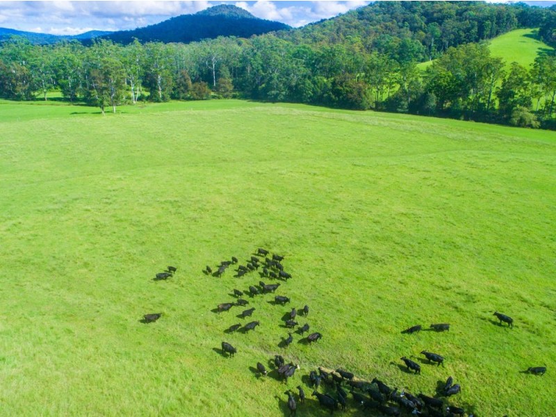 Rollands Plains NSW 2441