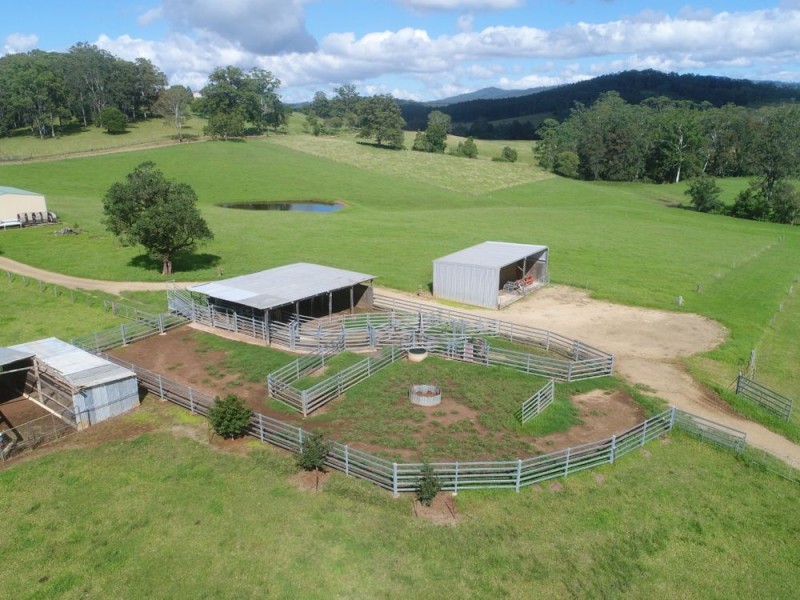 Rollands Plains NSW 2441