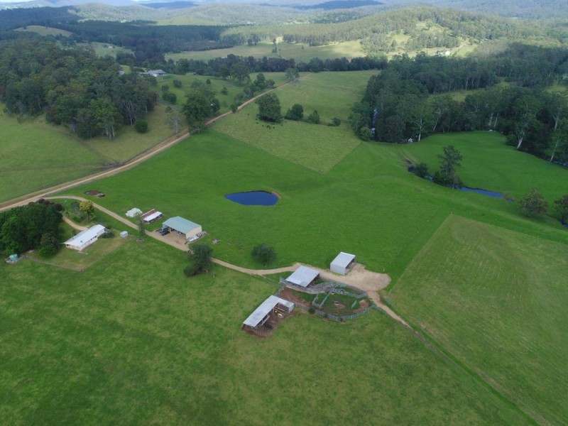 Rollands Plains NSW 2441